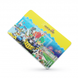 Mini Card USB